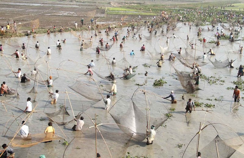 India - jdb cai shen fishing